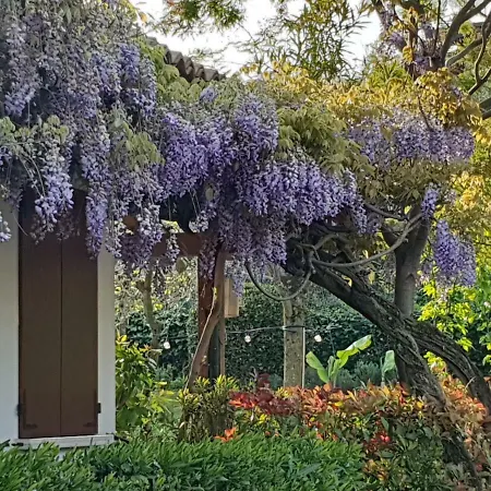 Da Vittorio Venkovský dům Manerba del Garda